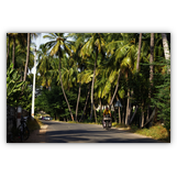 Südindien (Dezember 2013)