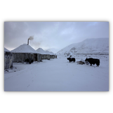 Jetzt hat der Winter mich doch noch eingeholt - am knapp 4000 Meter hoch gelegenen Karakol-See in China.