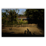 Morning in Myanmar (February 2014)