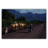 Überholmanöver - im Norden Äthiopiens